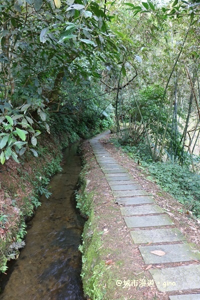 IMG_8568.JPG IMG_8568.JPG