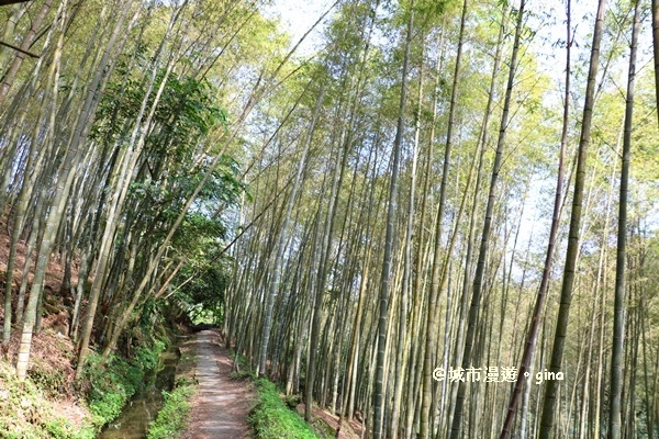 IMG_8580.JPG IMG_8580.JPG