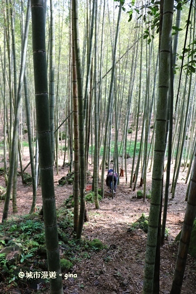 IMG_8581.JPG IMG_8581.JPG