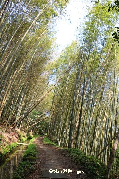 IMG_8583.JPG IMG_8583.JPG