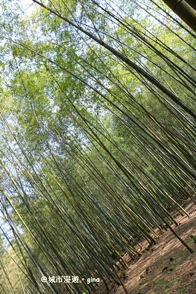 IMG_8592.JPG IMG_8592.JPG