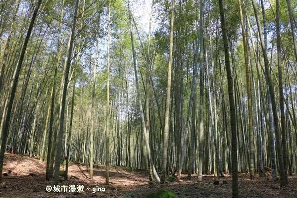 IMG_8604.JPG IMG_8604.JPG