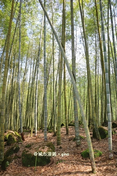 IMG_8610.JPG IMG_8610.JPG