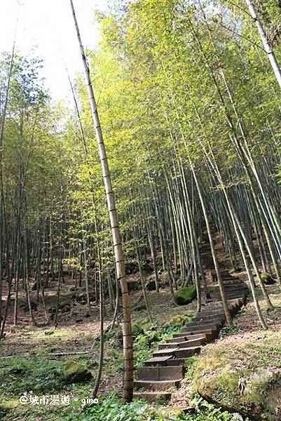 IMG_8614.JPG IMG_8614.JPG