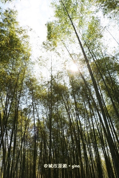 IMG_8612.JPG IMG_8612.JPG