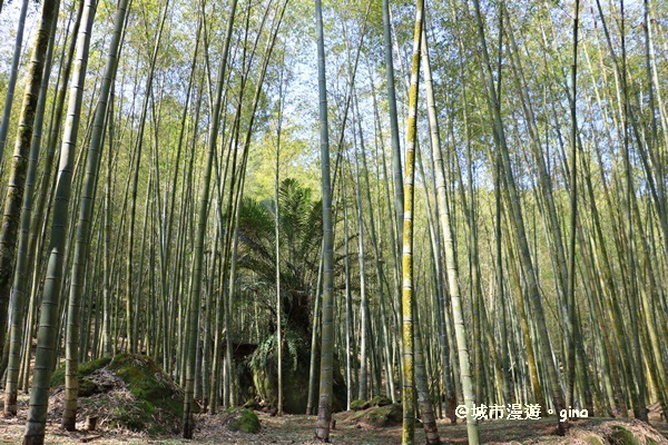 IMG_8623.JPG IMG_8623.JPG