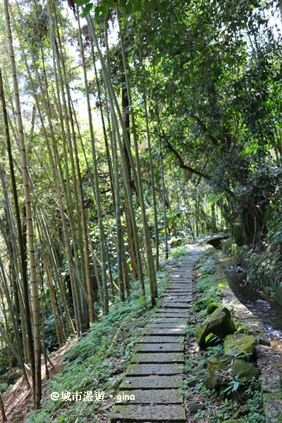 IMG_8624.JPG IMG_8624.JPG