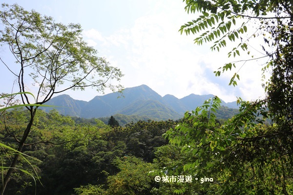 IMG_8627.JPG IMG_8627.JPG