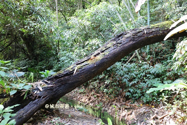 IMG_8628.JPG IMG_8628.JPG