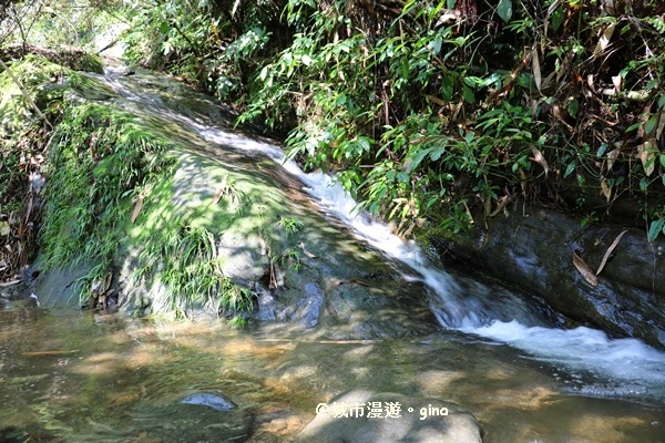 IMG_8632.JPG IMG_8632.JPG