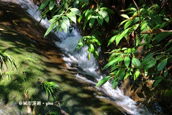 IMG_8647.JPG IMG_8647.JPG