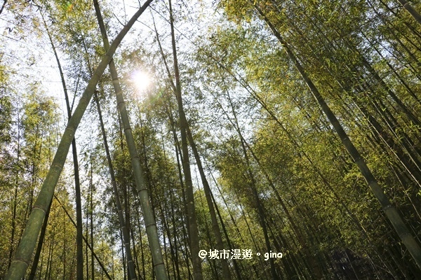 IMG_8655.JPG IMG_8655.JPG