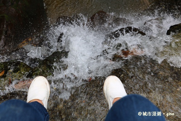 IMG_8805.JPG IMG_8805.JPG