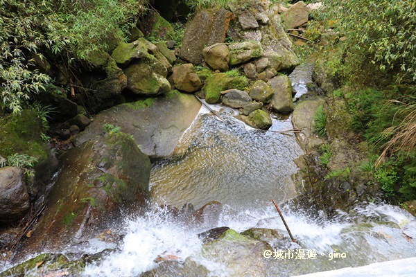 IMG_8806.JPG IMG_8806.JPG