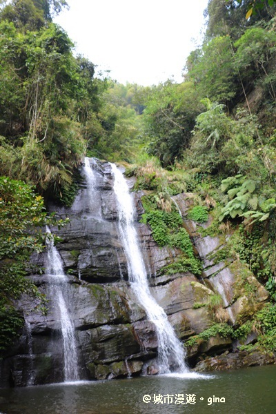 IMG_8811.JPG IMG_8811.JPG