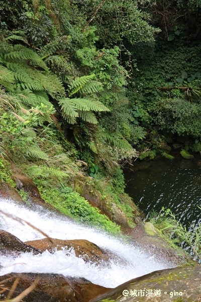 IMG_8845.JPG IMG_8845.JPG