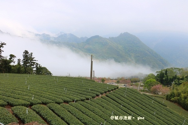 IMG_9202.JPG IMG_9202.JPG