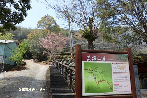 IMG_9269.JPG IMG_9269.JPG