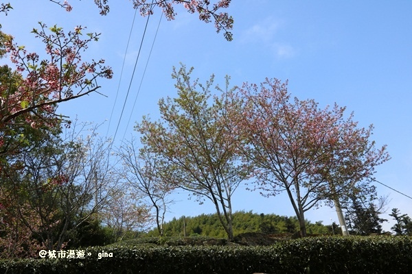 IMG_9270.JPG IMG_9270.JPG