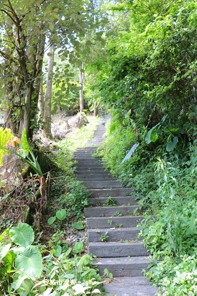 IMG_9278.JPG IMG_9278.JPG