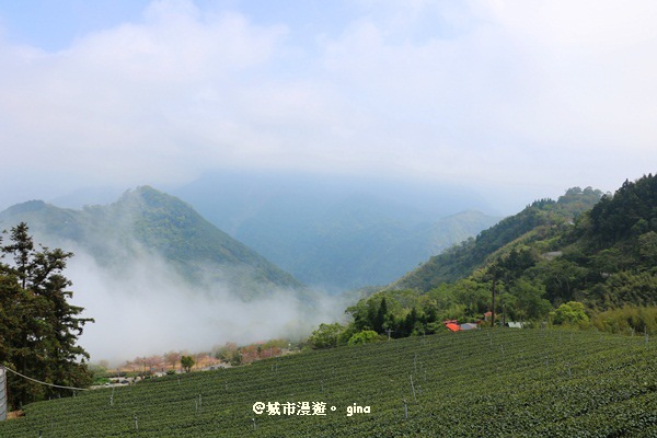 IMG_9281.JPG IMG_9281.JPG