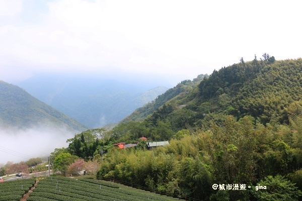 IMG_9282.JPG IMG_9282.JPG