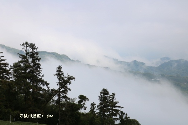 IMG_9305.JPG IMG_9305.JPG