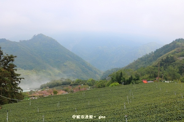 IMG_9321.JPG IMG_9321.JPG