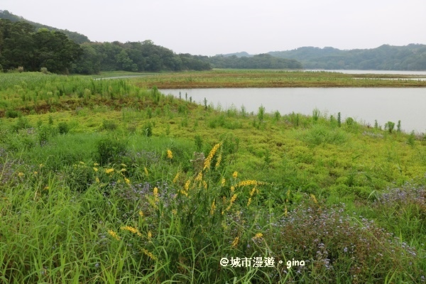 IMG_0001.JPG IMG_0001.JPG