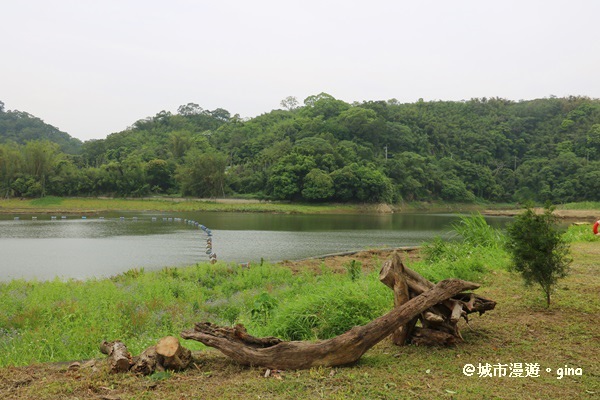 IMG_0003.JPG IMG_0003.JPG