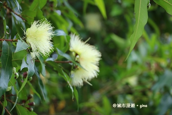 IMG_0020.JPG IMG_0020.JPG