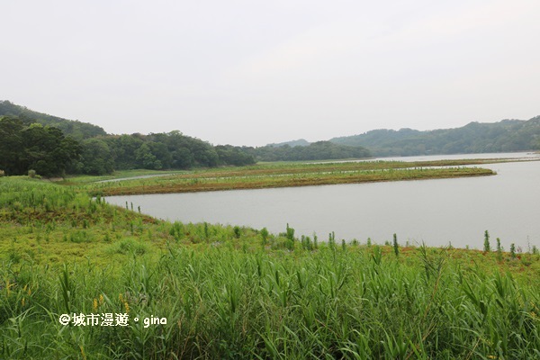 IMG_0041.JPG IMG_0041.JPG