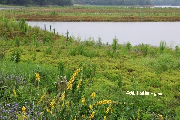 IMG_0046.JPG IMG_0046.JPG