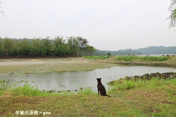 IMG_0073.JPG IMG_0073.JPG