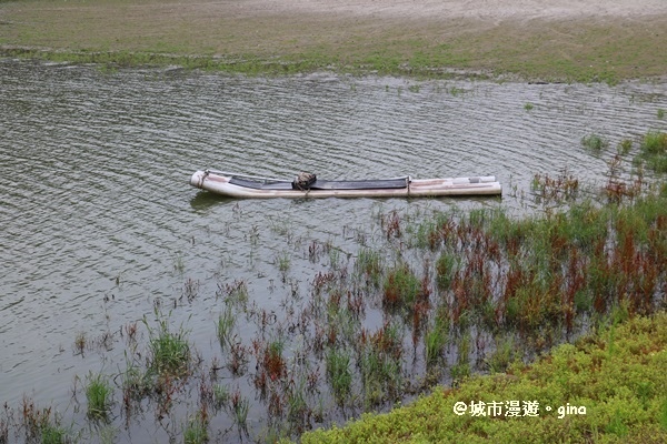 IMG_0079.JPG IMG_0079.JPG