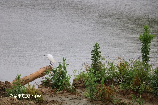 IMG_0094.JPG IMG_0094.JPG