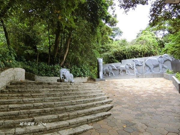 CIMG2300.JPG CIMG2300.JPG