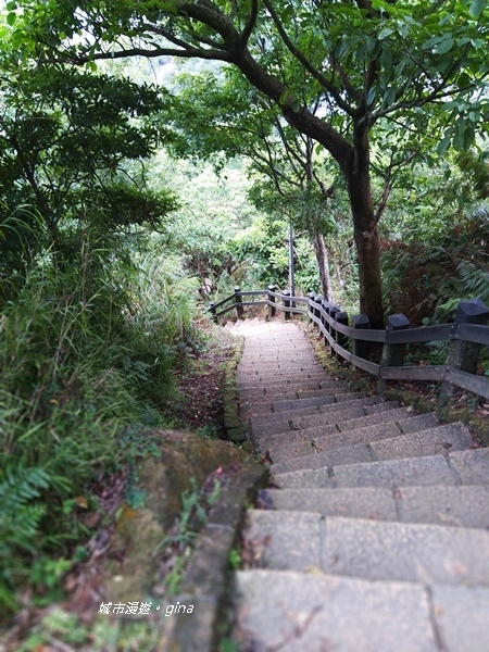 【台北信義區】城市裡就能感受山林綠意與活力健身。象山親山步道