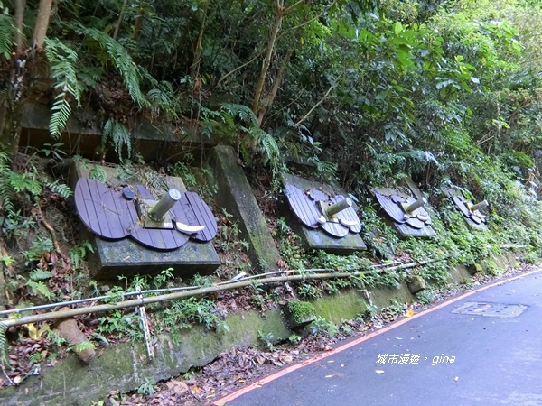 CIMG2397.JPG CIMG2397.JPG