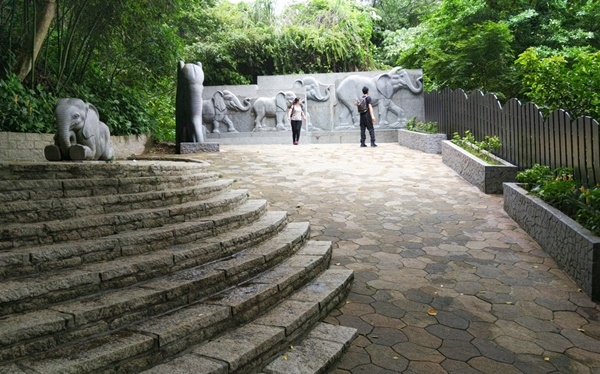 CIMG2401.jpg CIMG2401.jpg