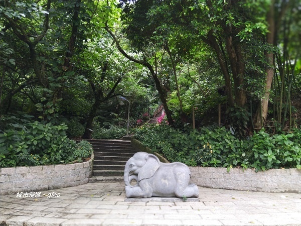 CIMG2402.jpg CIMG2402.jpg