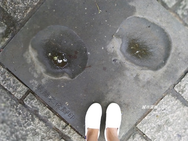 CIMG2408.jpg CIMG2408.jpg