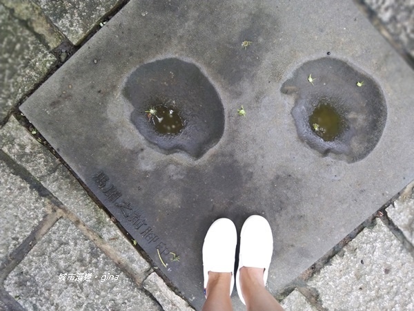 CIMG2409.jpg CIMG2409.jpg