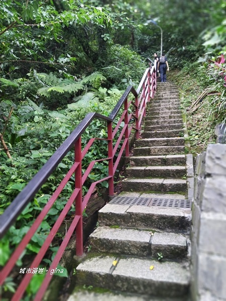 CIMG2411.jpg CIMG2411.jpg