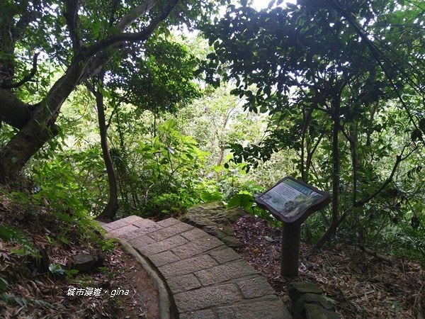 CIMG2412.jpg CIMG2412.jpg