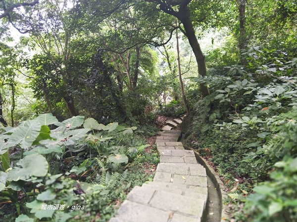 CIMG2413.jpg CIMG2413.jpg