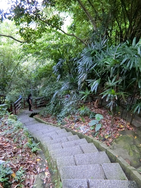 CIMG2414.JPG CIMG2414.JPG