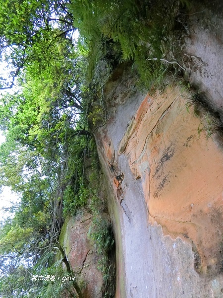 CIMG2418.JPG CIMG2418.JPG