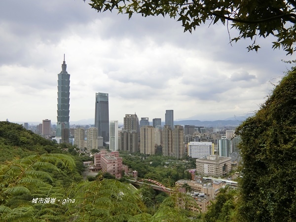 CIMG2423.JPG CIMG2423.JPG