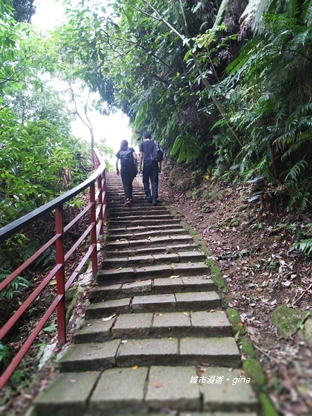 CIMG2424.jpg CIMG2424.jpg